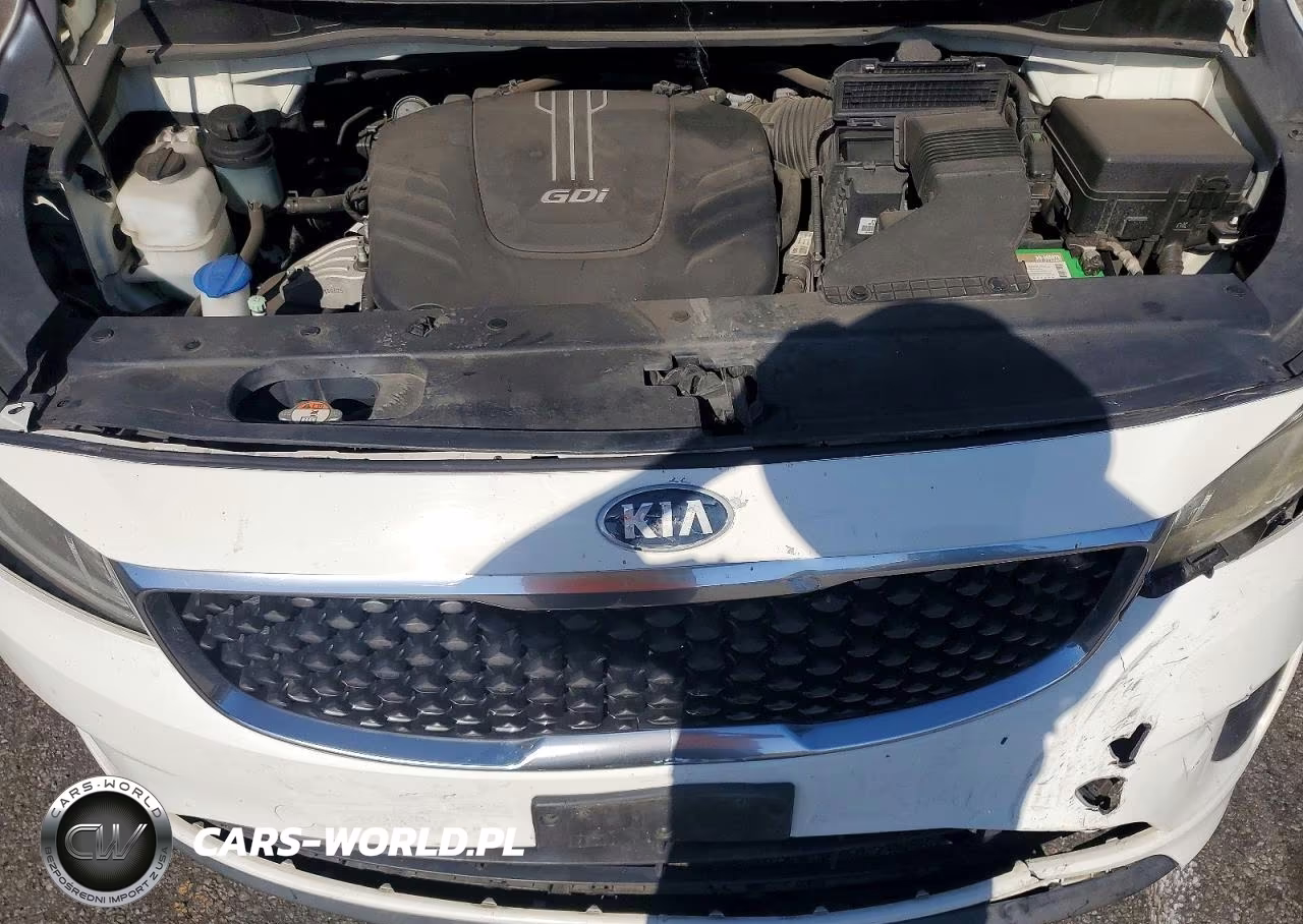 2016 Kia Sedona L VIN:KNDMA5C10G6120789 - 12