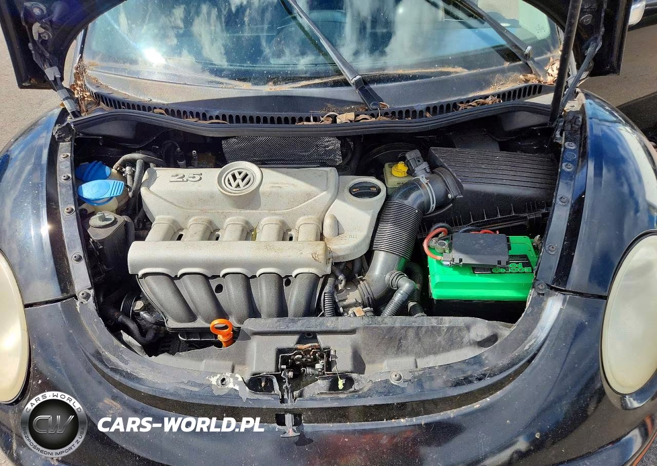 2007 Volkswagen New Beetle 2.5L VIN:3VWEW31CX7M508219 - 11