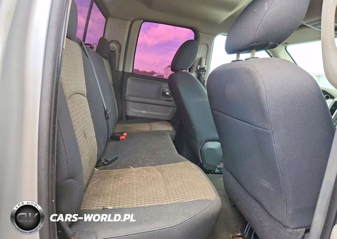 2010 Dodge Ram 1500 VIN:1D7RB1GP2AS101322 - 10