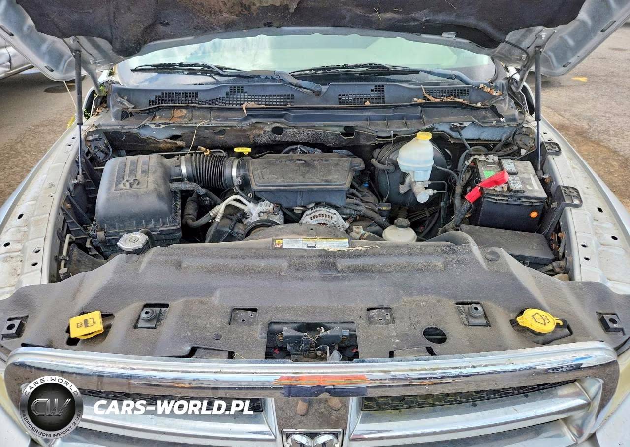 2010 Dodge Ram 1500 VIN:1D7RB1GP2AS101322 - 11