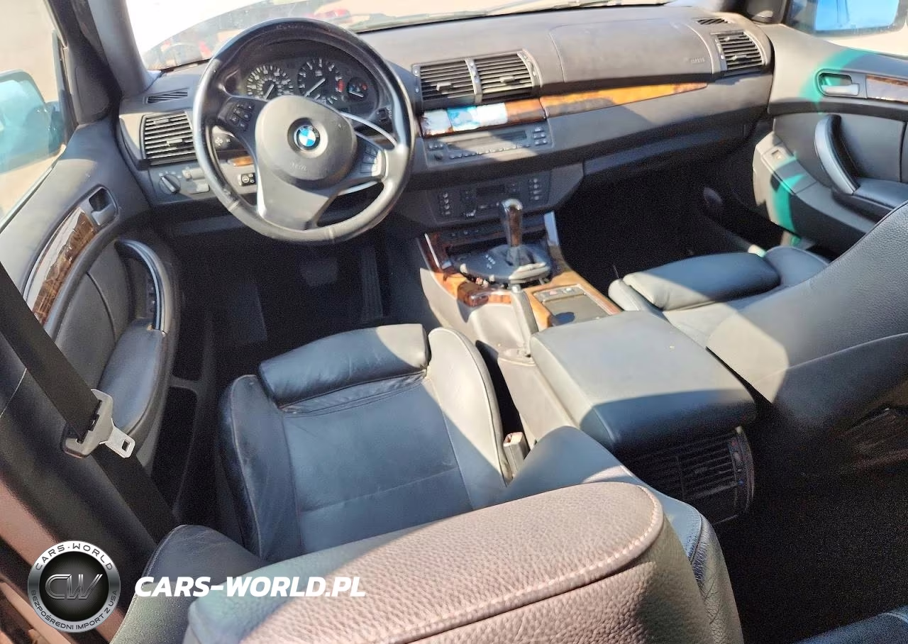 2004 BMW X5 3.0I VIN:5UXFA13594LU21917 - 8