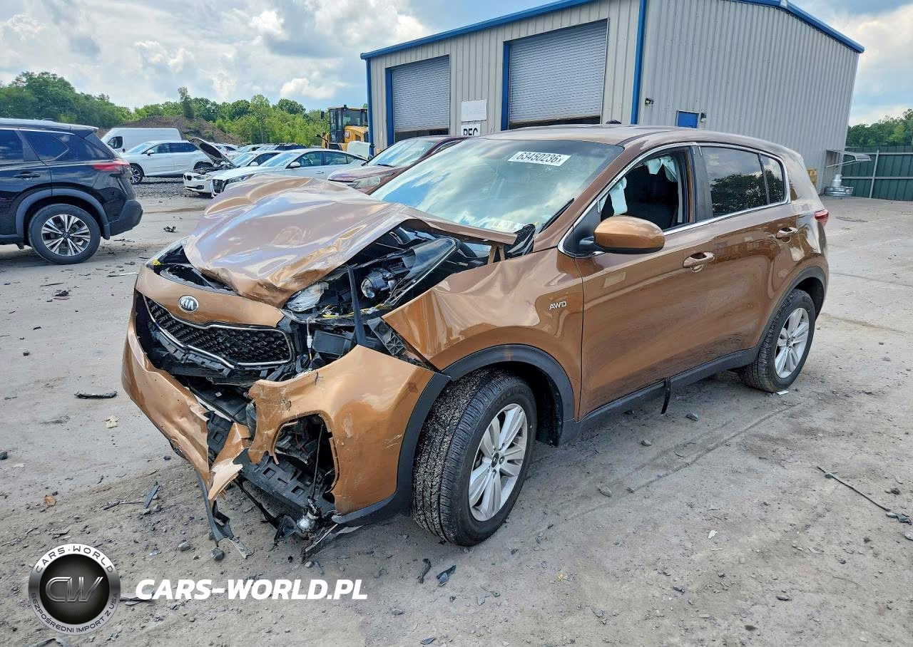 2019 Kia Sportage Lx VIN:KNDPMCAC4K7575225 - 1