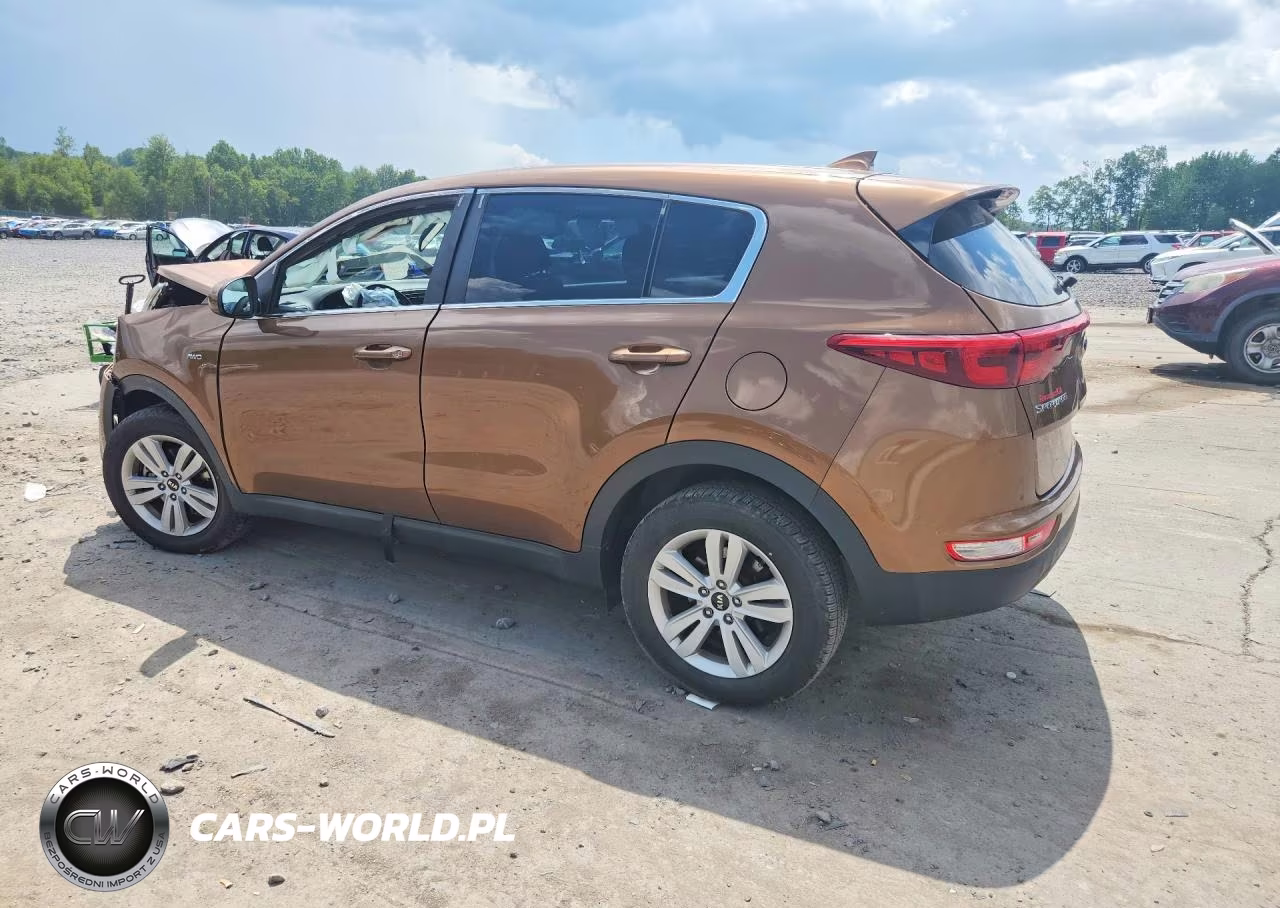 2019 Kia Sportage Lx VIN:KNDPMCAC4K7575225 - 2
