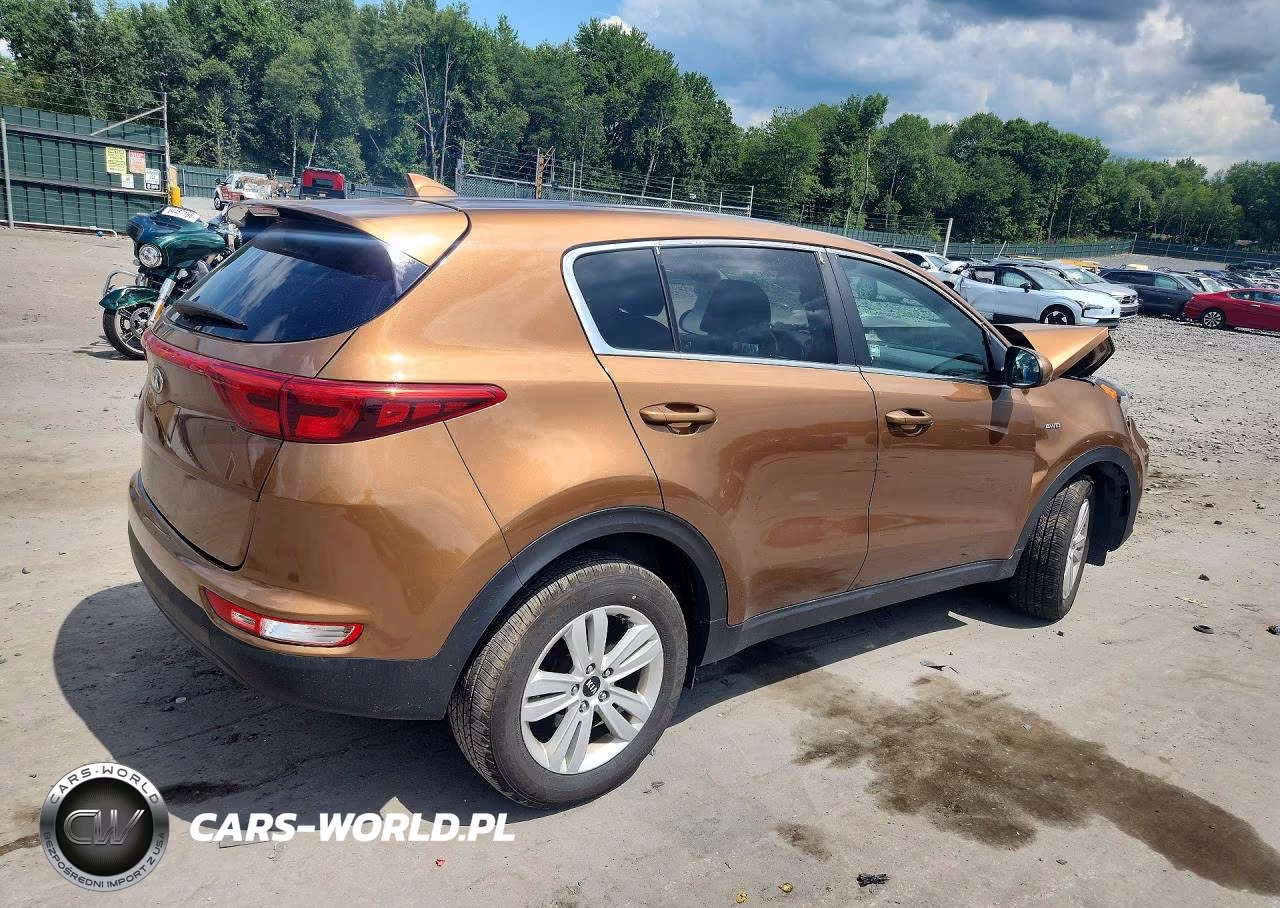 2019 Kia Sportage Lx VIN:KNDPMCAC4K7575225 - 3