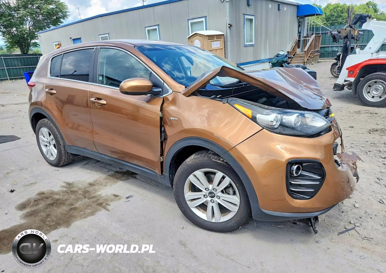 2019 Kia Sportage Lx VIN:KNDPMCAC4K7575225 - 4