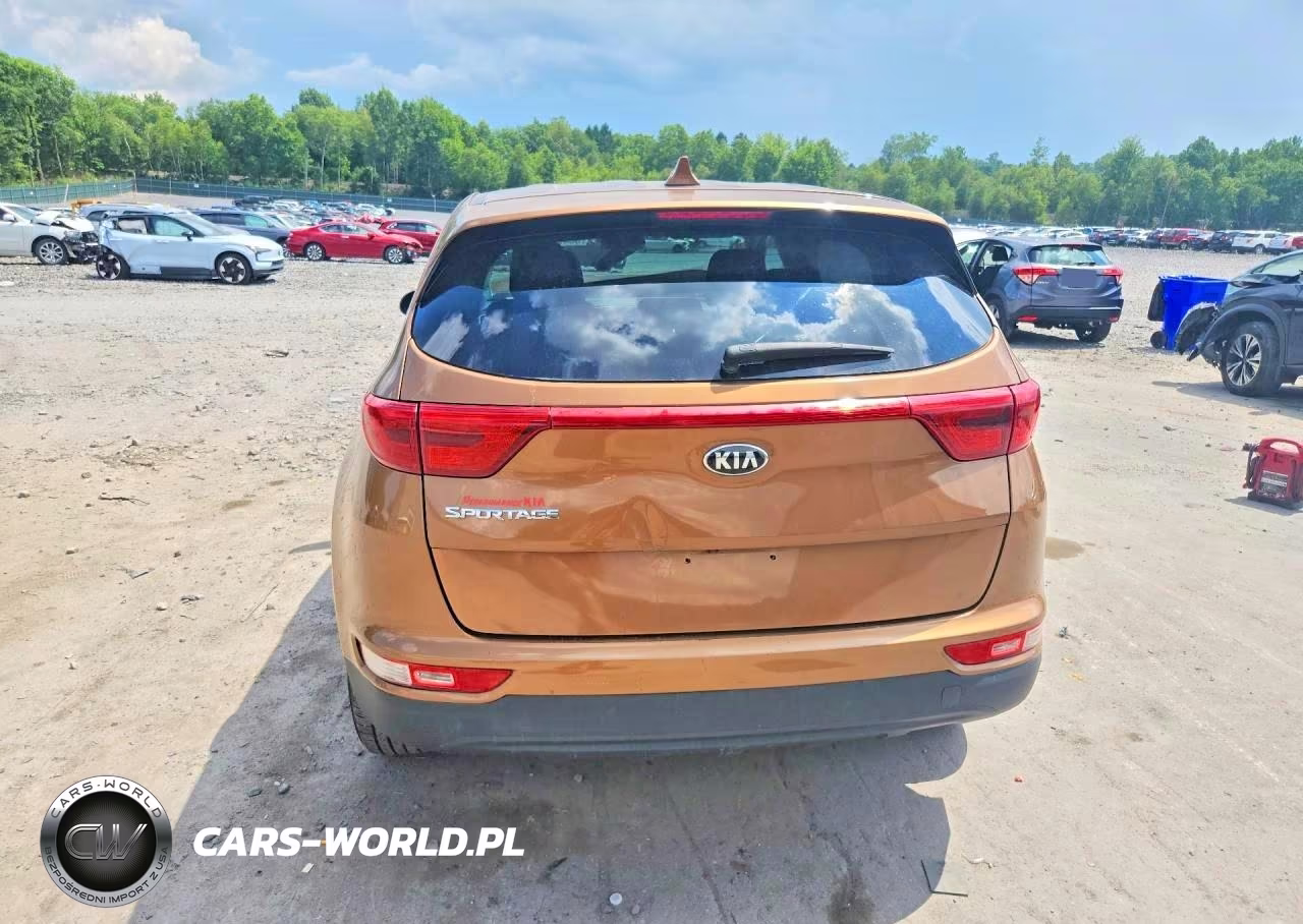 2019 Kia Sportage Lx VIN:KNDPMCAC4K7575225 - 6