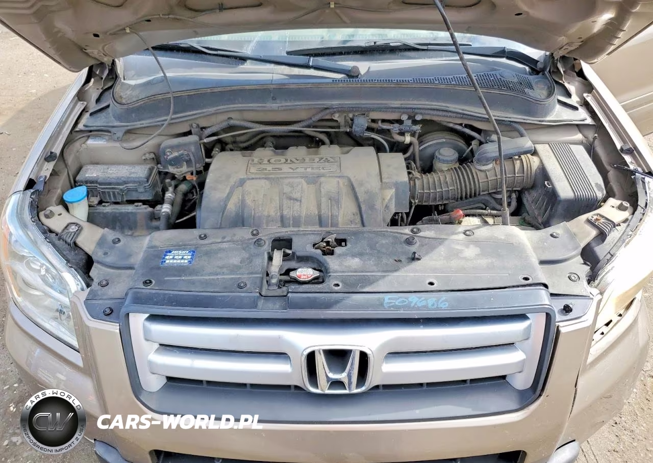 2006 Honda Pilot Ex VIN:5FNYF18406B018376 - 12