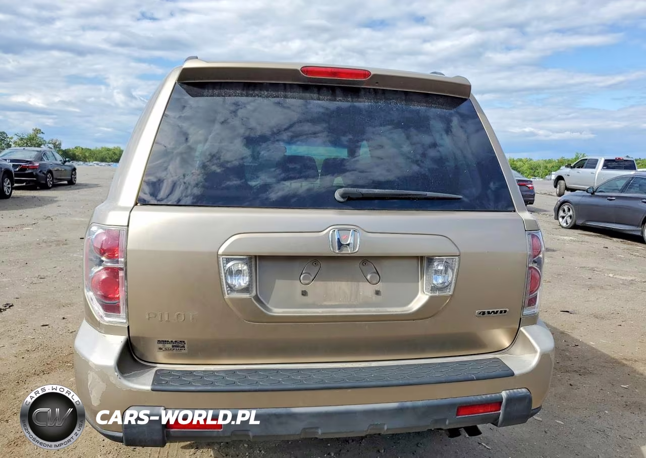 2006 Honda Pilot Ex VIN:5FNYF18406B018376 - 6