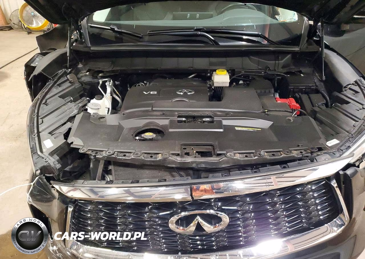 2023 Infiniti Qx60 Luxe VIN:5N1DL1FS1PC356520 - 12