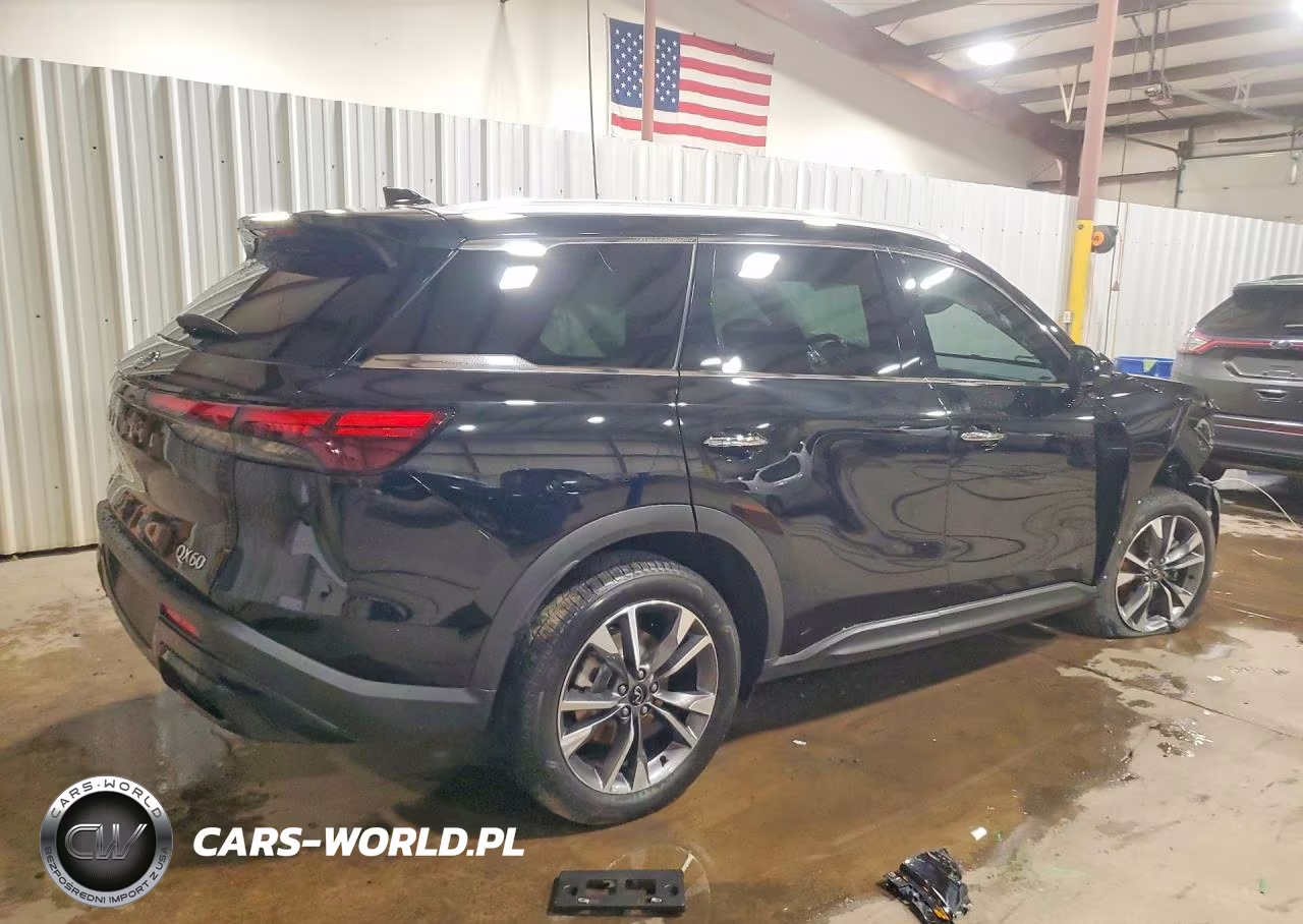 2023 Infiniti Qx60 Luxe VIN:5N1DL1FS1PC356520 - 3