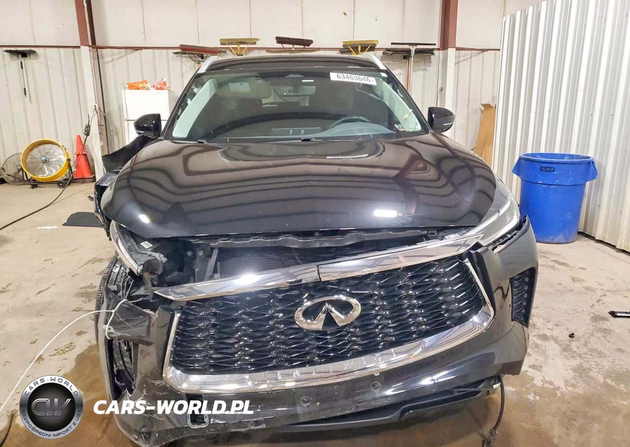 2023 Infiniti Qx60 Luxe VIN:5N1DL1FS1PC356520 - 5