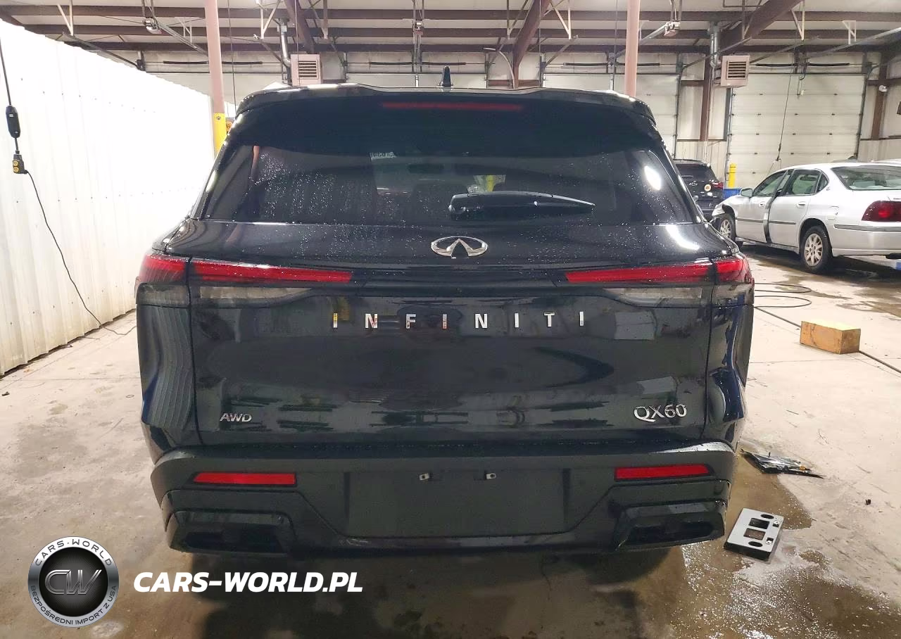 2023 Infiniti Qx60 Luxe VIN:5N1DL1FS1PC356520 - 6