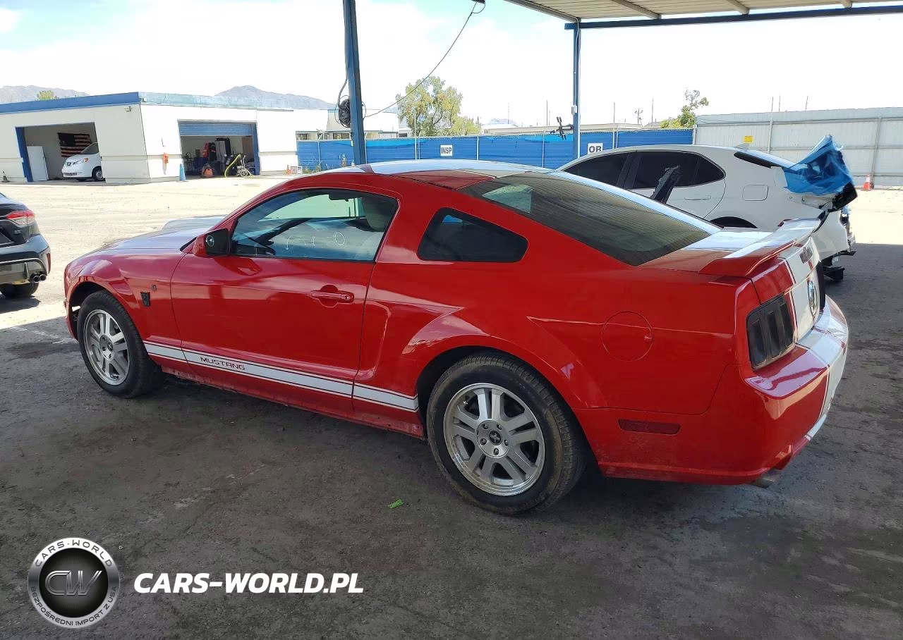 2005 Ford Mustang VIN:1ZVFT80N355165401 - 2