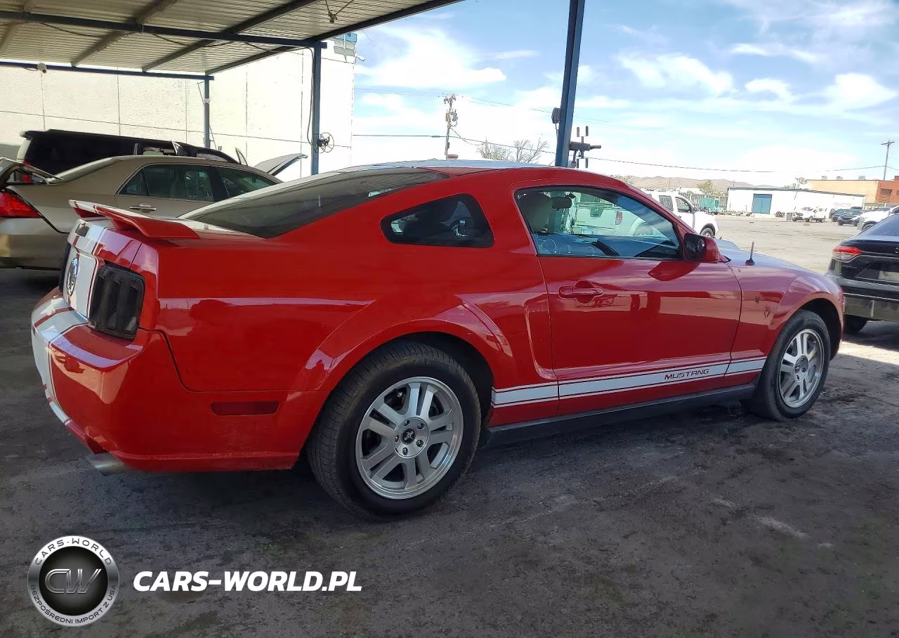 2005 Ford Mustang VIN:1ZVFT80N355165401 - 3