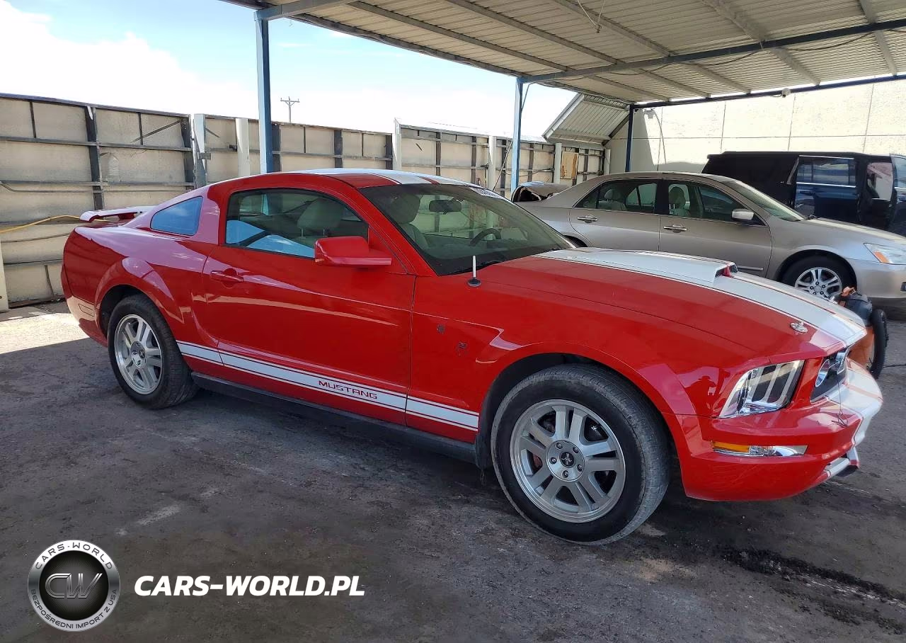 2005 Ford Mustang VIN:1ZVFT80N355165401 - 4