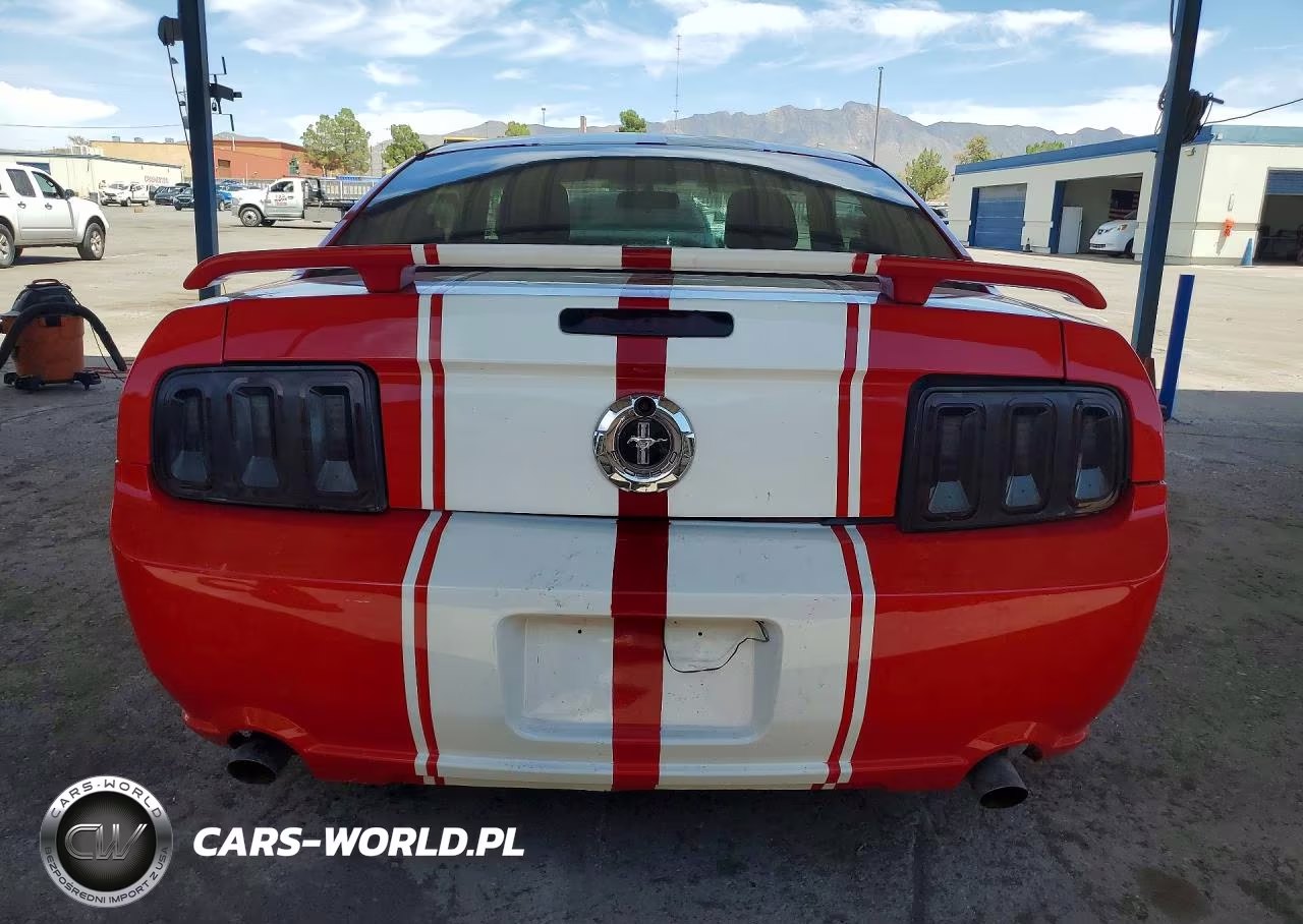 2005 Ford Mustang VIN:1ZVFT80N355165401 - 6