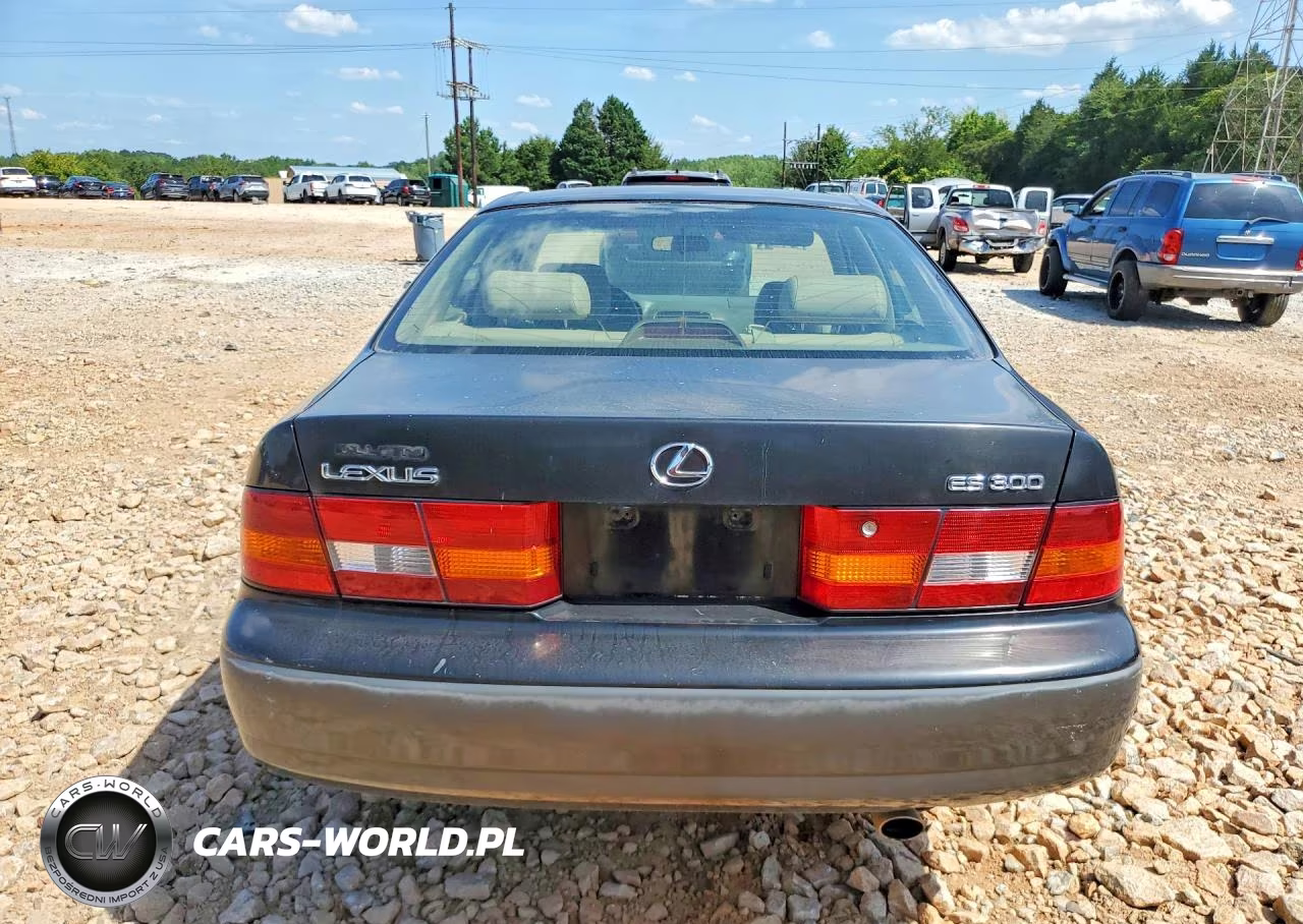 1999 Lexus Es 300 VIN:JT8BF28G2X0213738 - 6
