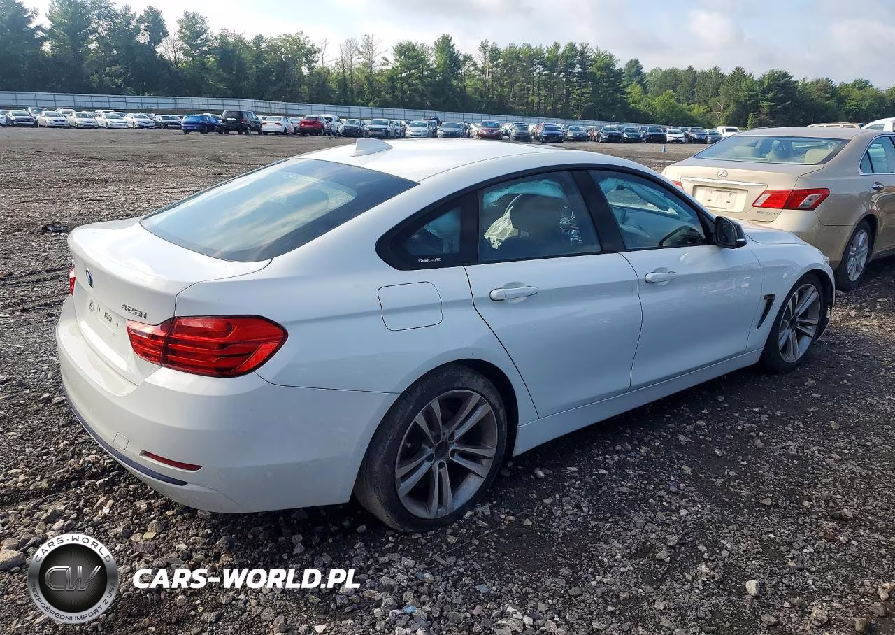 2015 BMW 428 Xi Gran Coupe Sulev VIN:WBA4C9C56FD330549 - 3