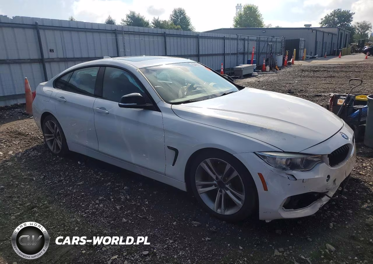2015 BMW 428 Xi Gran Coupe Sulev VIN:WBA4C9C56FD330549 - 4