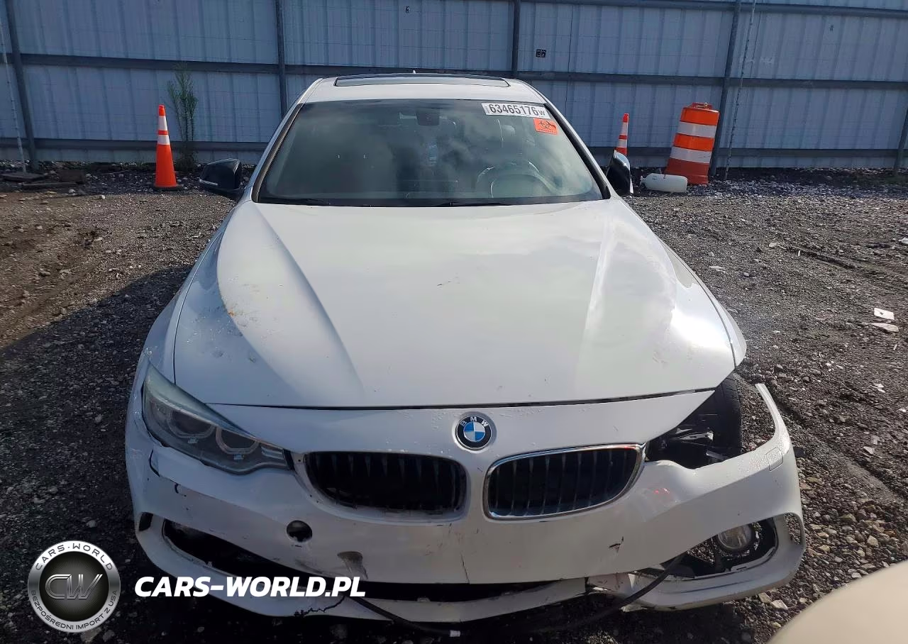2015 BMW 428 Xi Gran Coupe Sulev VIN:WBA4C9C56FD330549 - 5