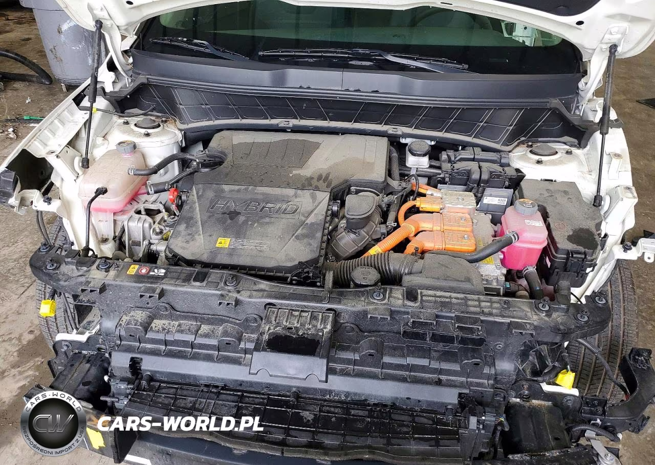 2024 Kia Niro Lx VIN:KNDCP3LE0R5183868 - 12