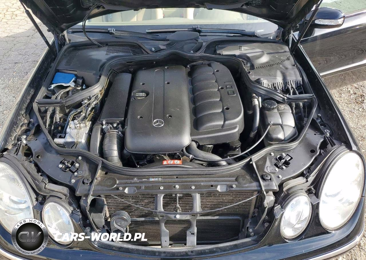 2006 Mercedes-Benz E 320 Cdi VIN:WDBUF26J36A852999 - 11