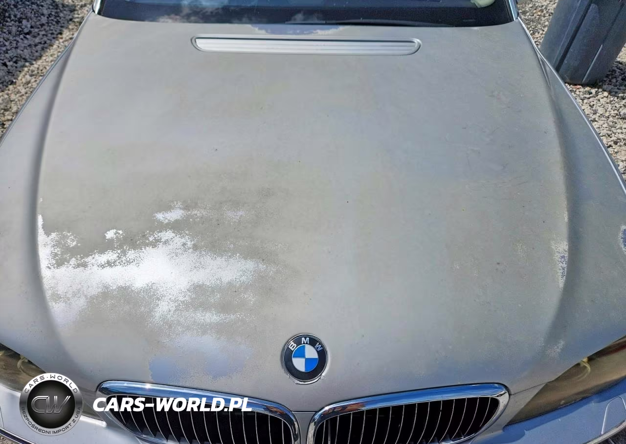 2006 BMW 750 Li VIN:WBAHN83556DT60972 - 11