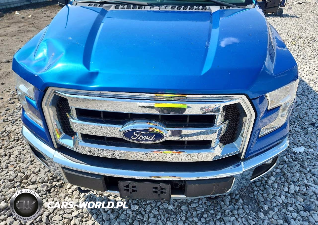2015 Ford F150 Supercrew VIN:1FTFW1EG6FKD06704 - 11