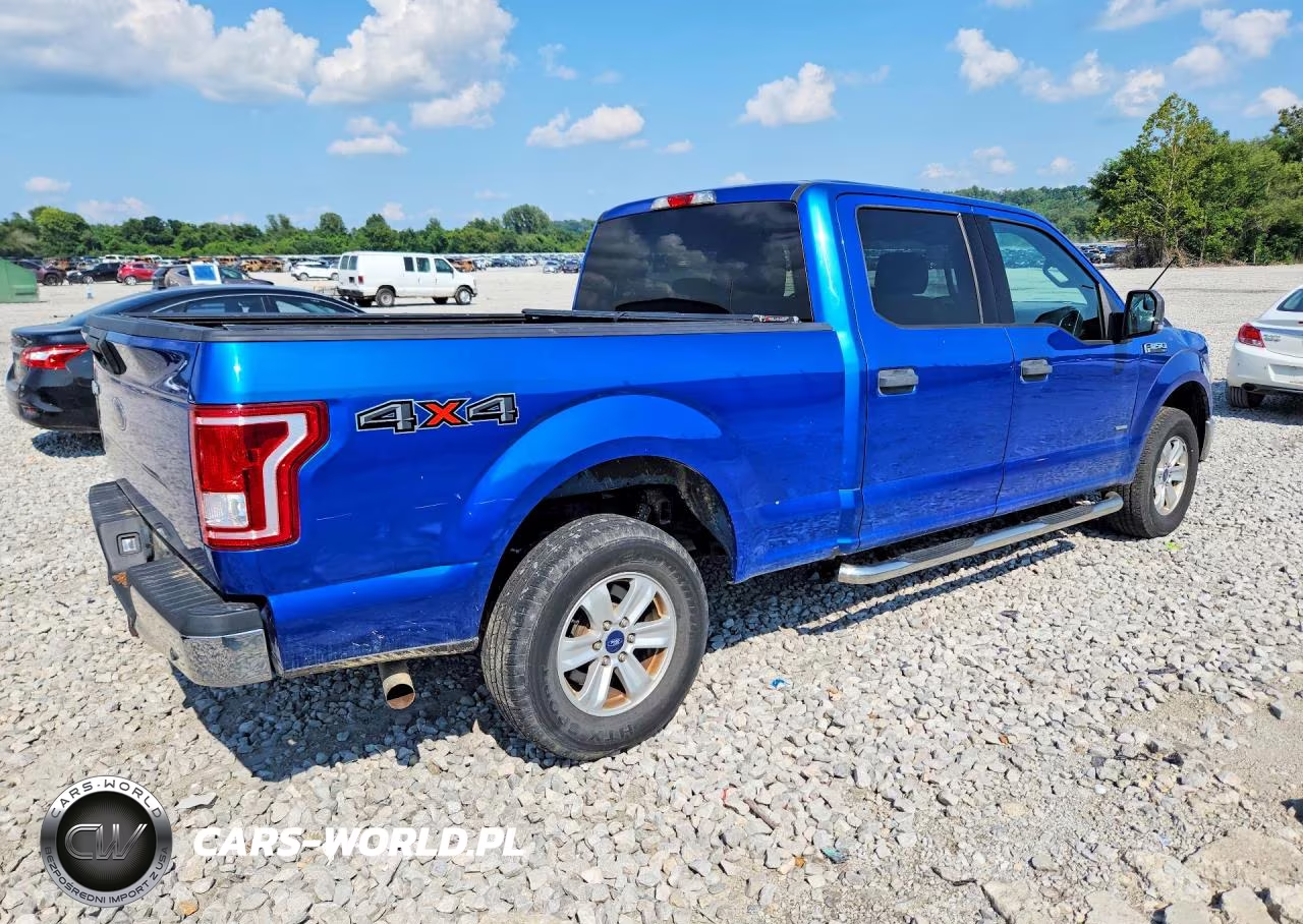 2015 Ford F150 Supercrew VIN:1FTFW1EG6FKD06704 - 3