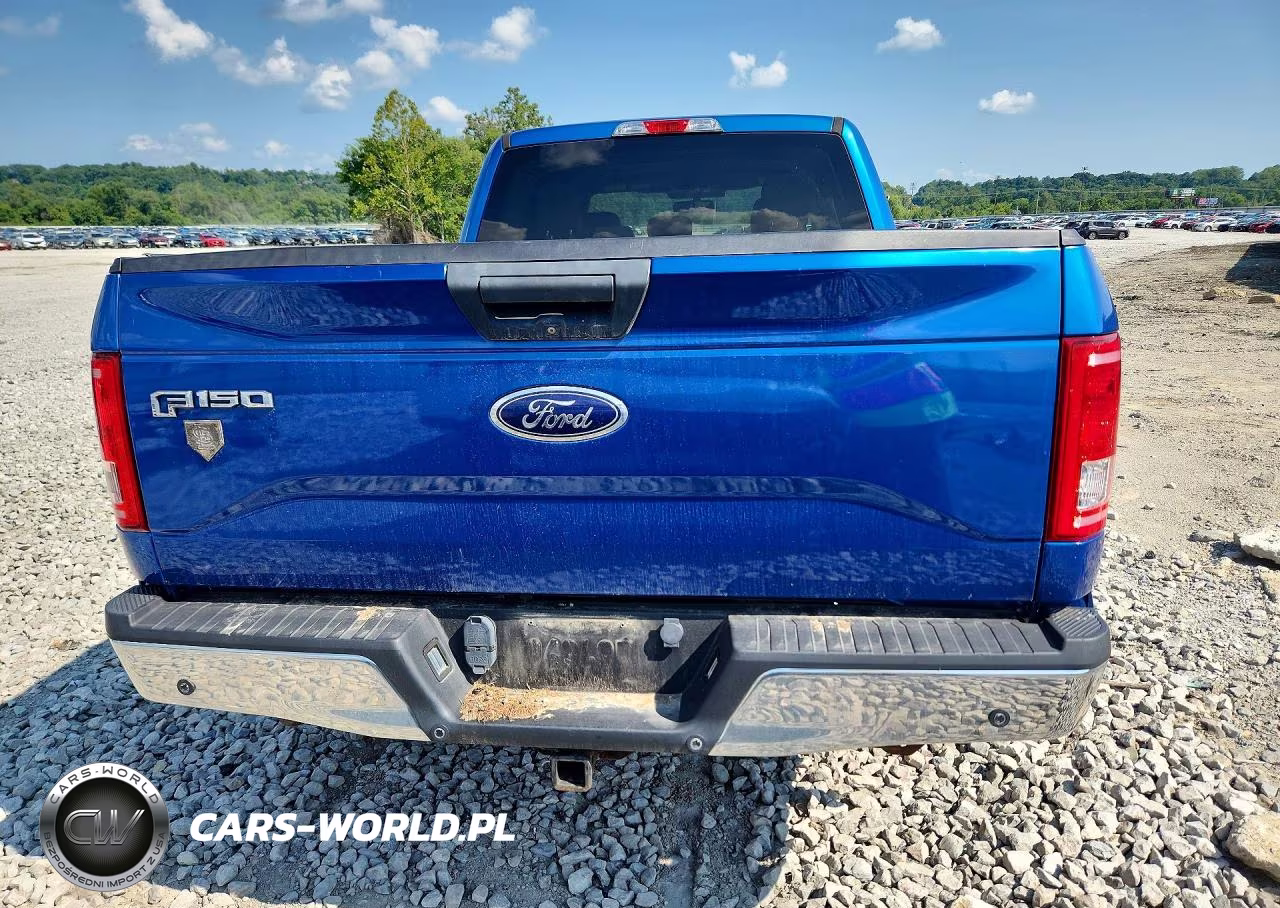 2015 Ford F150 Supercrew VIN:1FTFW1EG6FKD06704 - 6