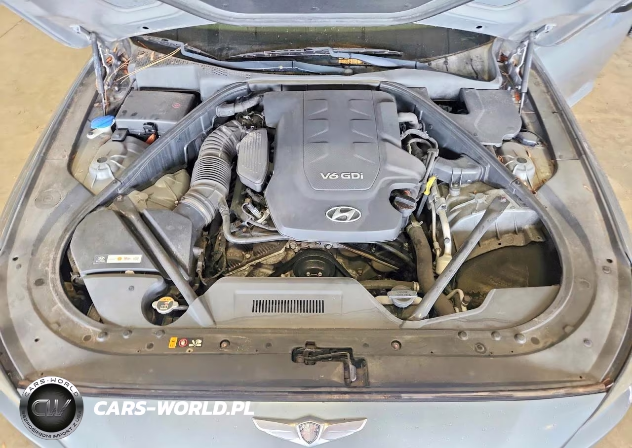 2016 Hyundai Genesis 3.8L VIN:KMHGN4JE1GU107459 - 11