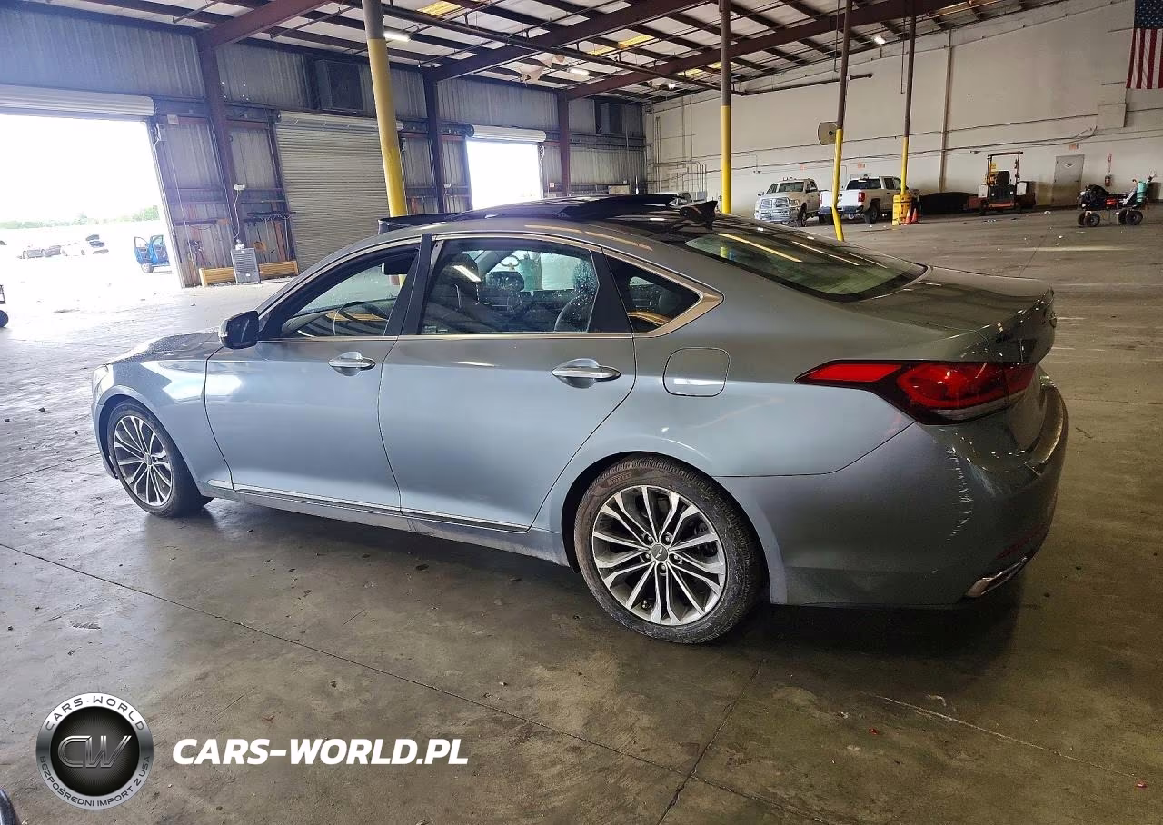 2016 Hyundai Genesis 3.8L VIN:KMHGN4JE1GU107459 - 2