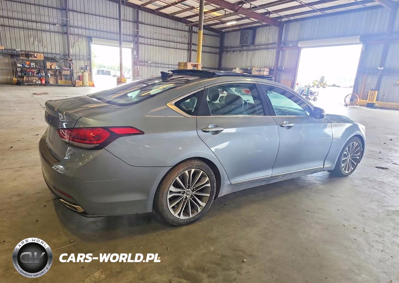 2016 Hyundai Genesis 3.8L VIN:KMHGN4JE1GU107459 - 3