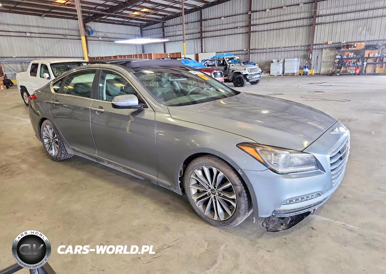 2016 Hyundai Genesis 3.8L VIN:KMHGN4JE1GU107459 - 4