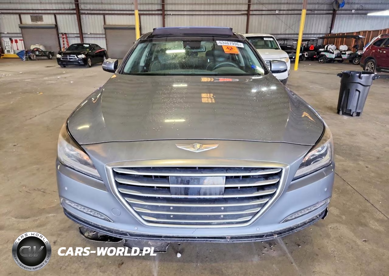 2016 Hyundai Genesis 3.8L VIN:KMHGN4JE1GU107459 - 5