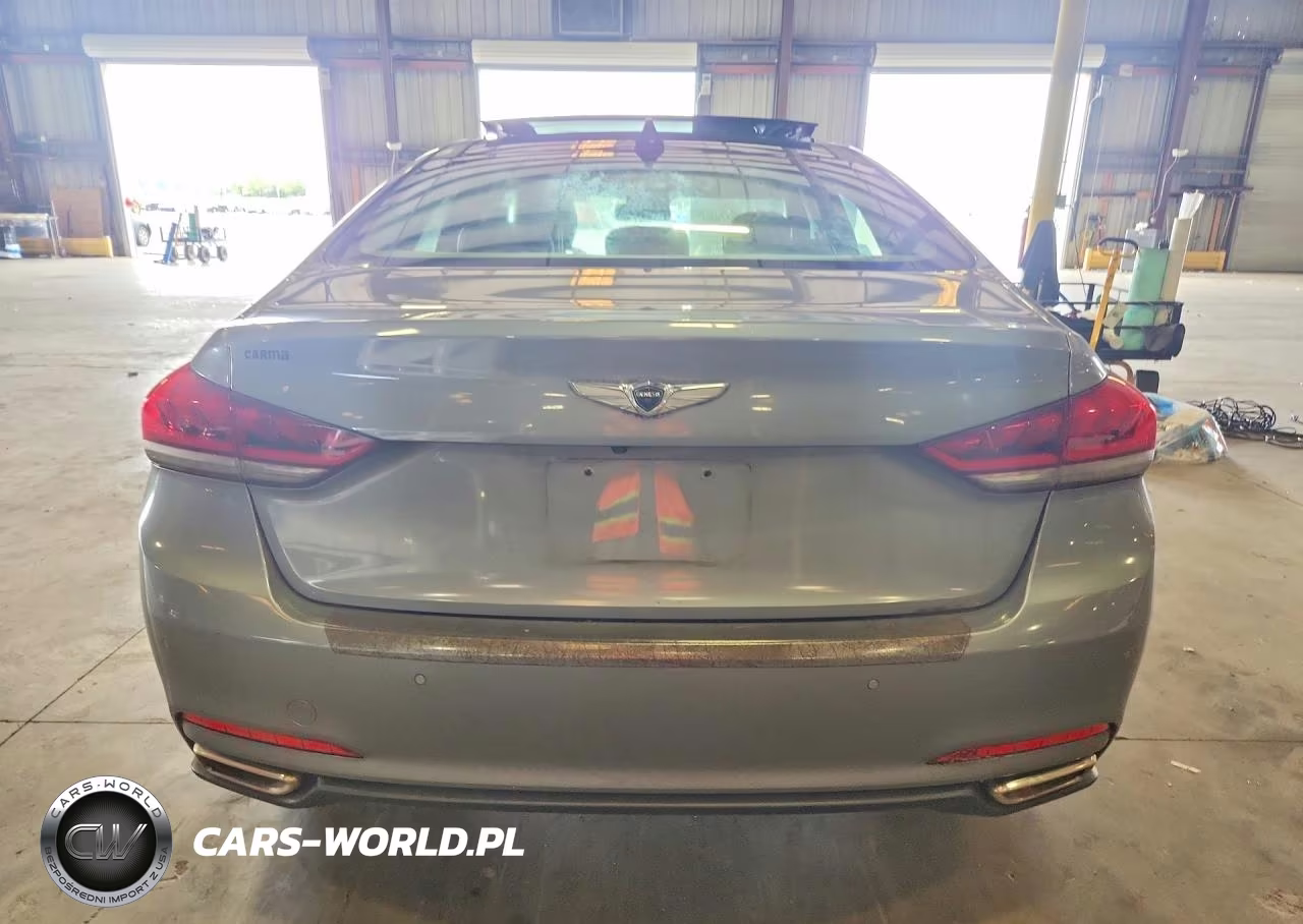 2016 Hyundai Genesis 3.8L VIN:KMHGN4JE1GU107459 - 6