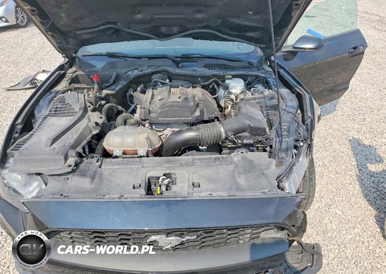 2018 Ford Mustang VIN:1FA6P8THXJ5179941 - 11