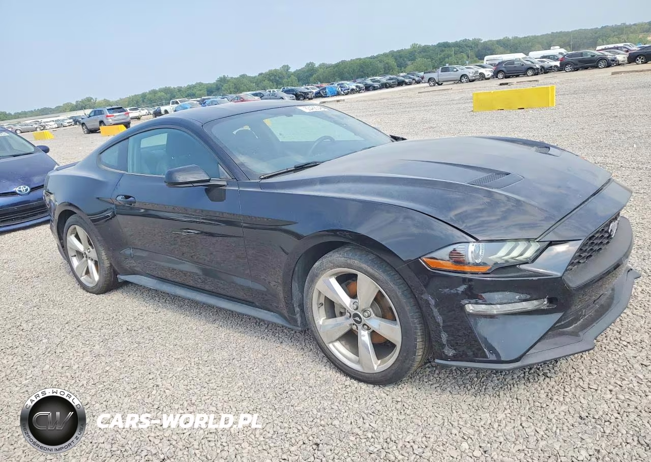 2018 Ford Mustang VIN:1FA6P8THXJ5179941 - 4