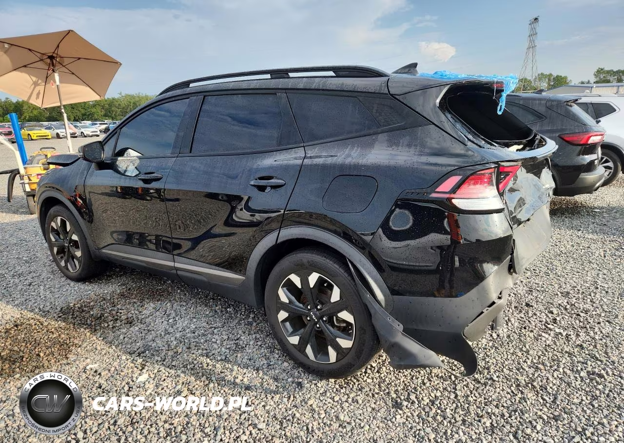 2023 Kia Sportage X Line VIN:5XYK6CAF2PG051984 - 2