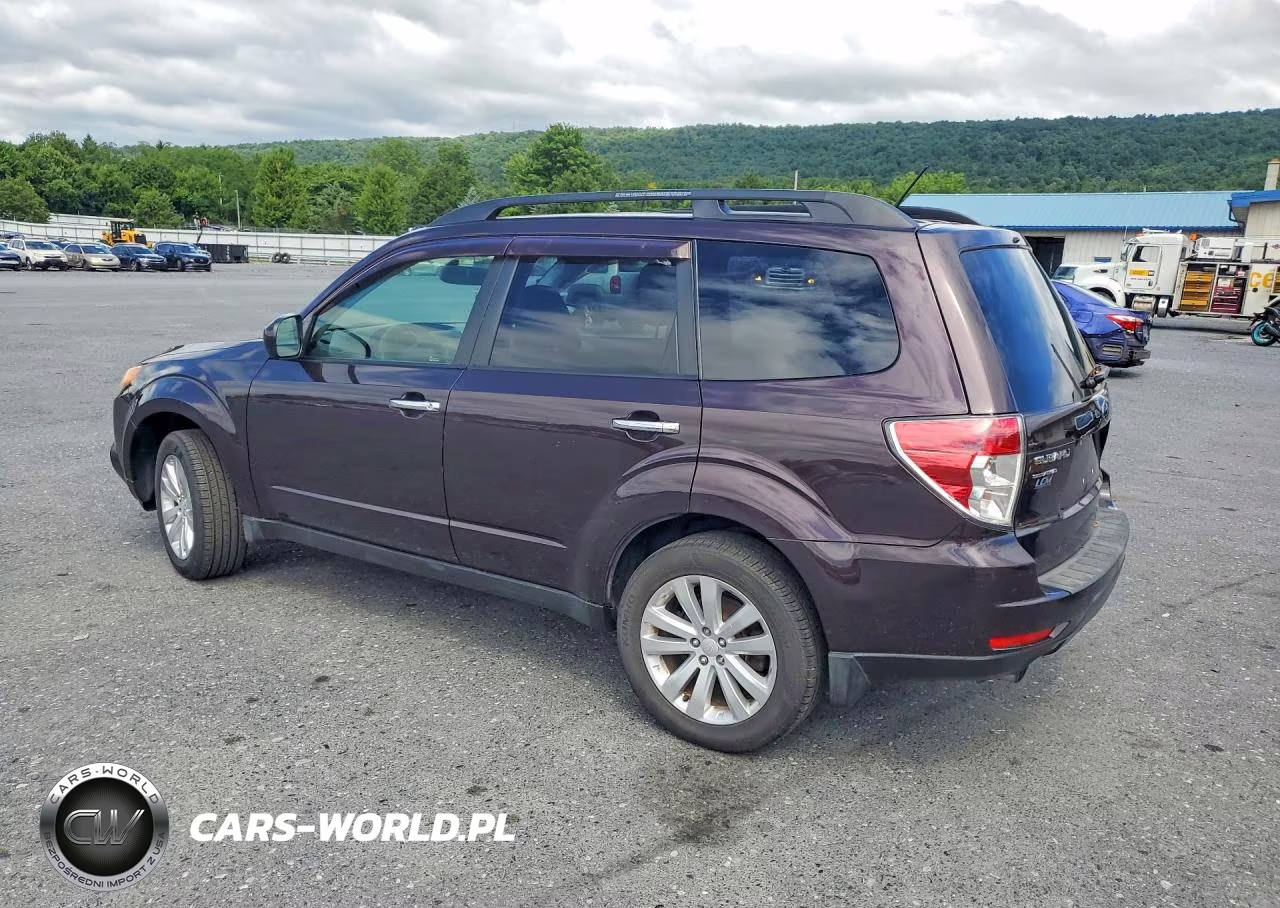 2013 Subaru Forester 2.5X Premium VIN:JF2SHADC1DH409113 - 2