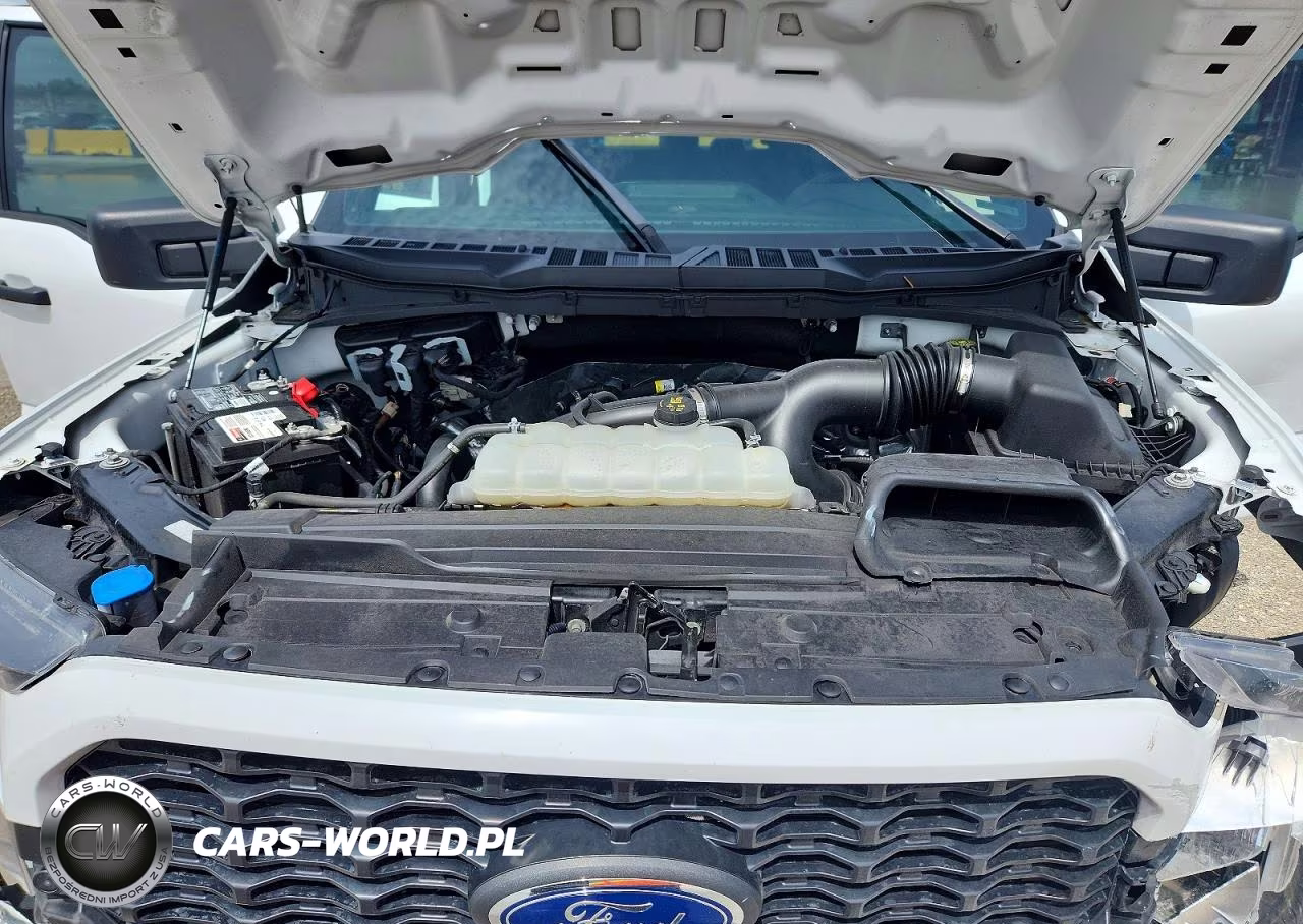 2023 Ford F150 Supercrew VIN:1FTEW1CP3KPF82192 - 11