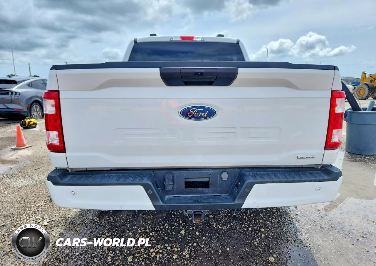 2023 Ford F150 Supercrew VIN:1FTEW1CP3KPF82192 - 6
