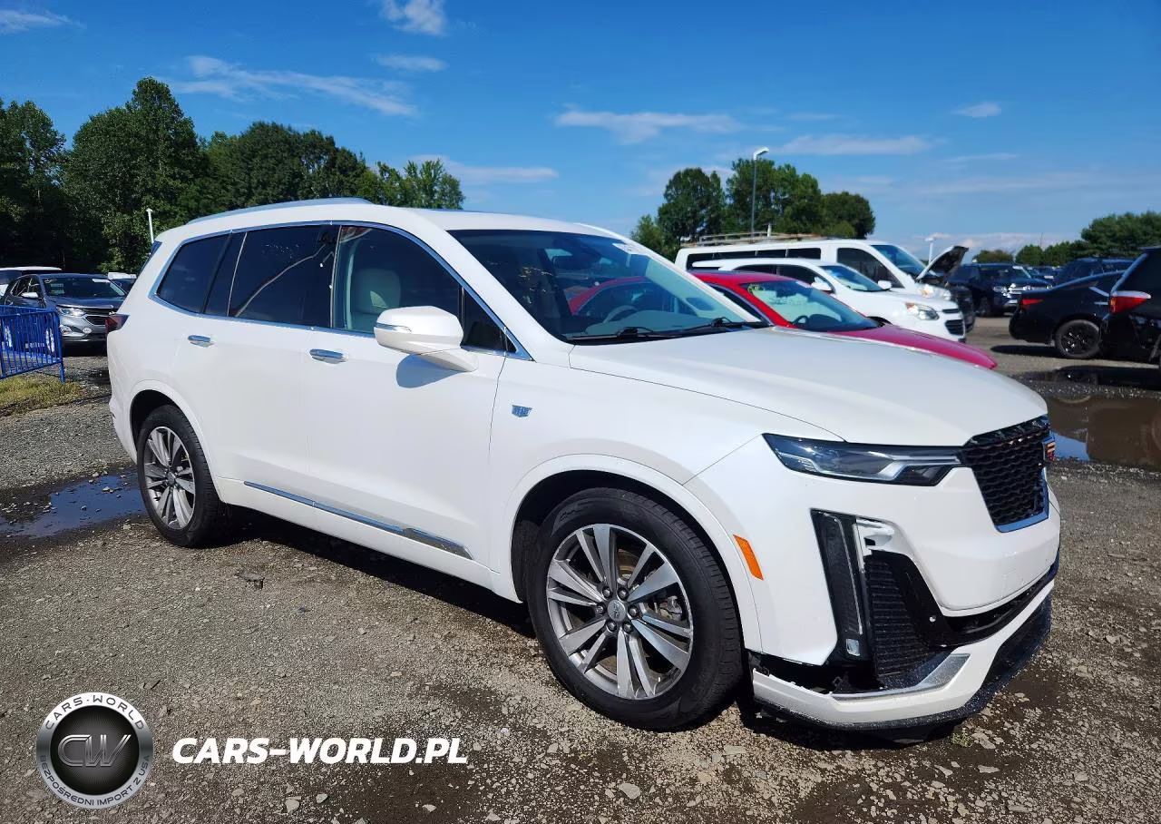2021 Cadillac Xt6 Premium Luxury VIN:1GYKPDRS6MZ153865 - 4