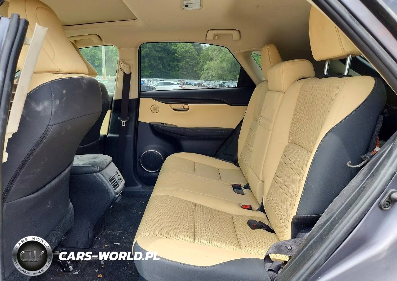 2020 Lexus Nx 300 Base VIN:JTJGARDZ9L2221708 - 11
