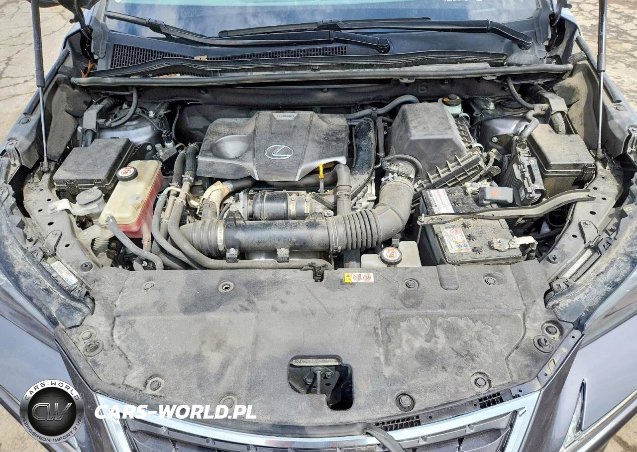 2020 Lexus Nx 300 Base VIN:JTJGARDZ9L2221708 - 12