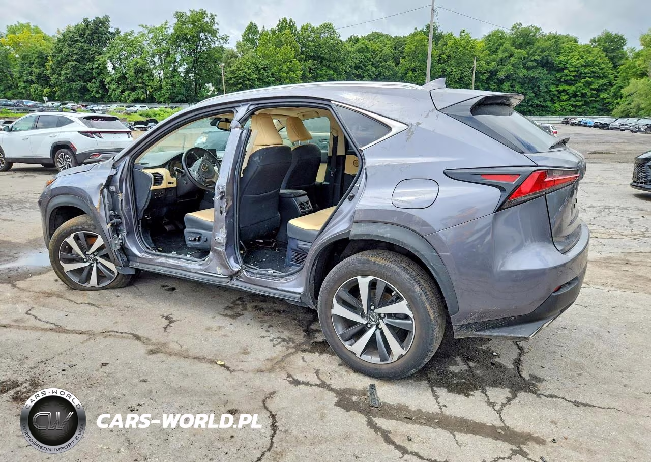 2020 Lexus Nx 300 Base VIN:JTJGARDZ9L2221708 - 2