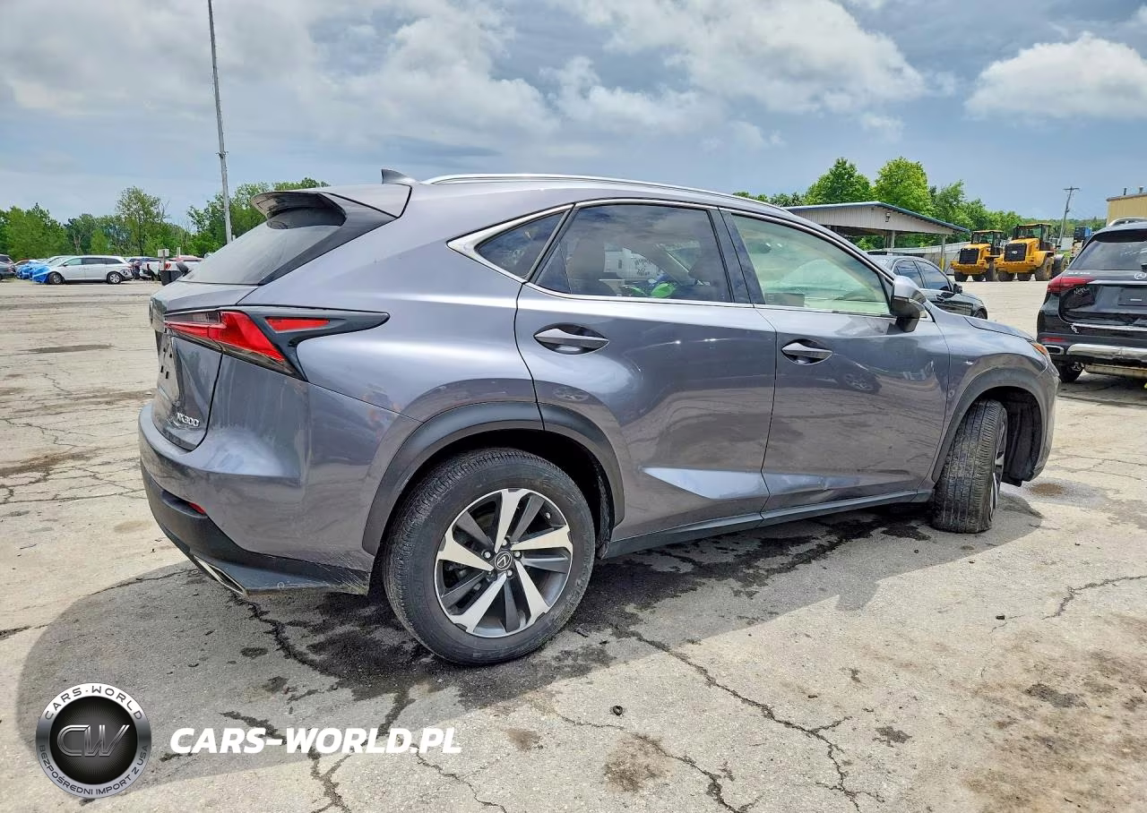 2020 Lexus Nx 300 Base VIN:JTJGARDZ9L2221708 - 3