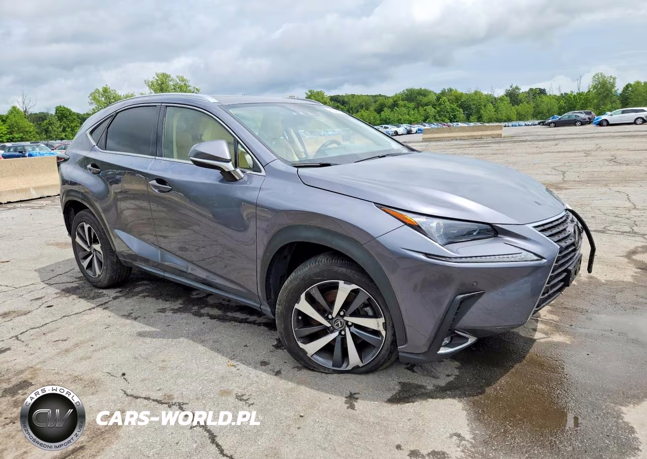 2020 Lexus Nx 300 Base VIN:JTJGARDZ9L2221708 - 4