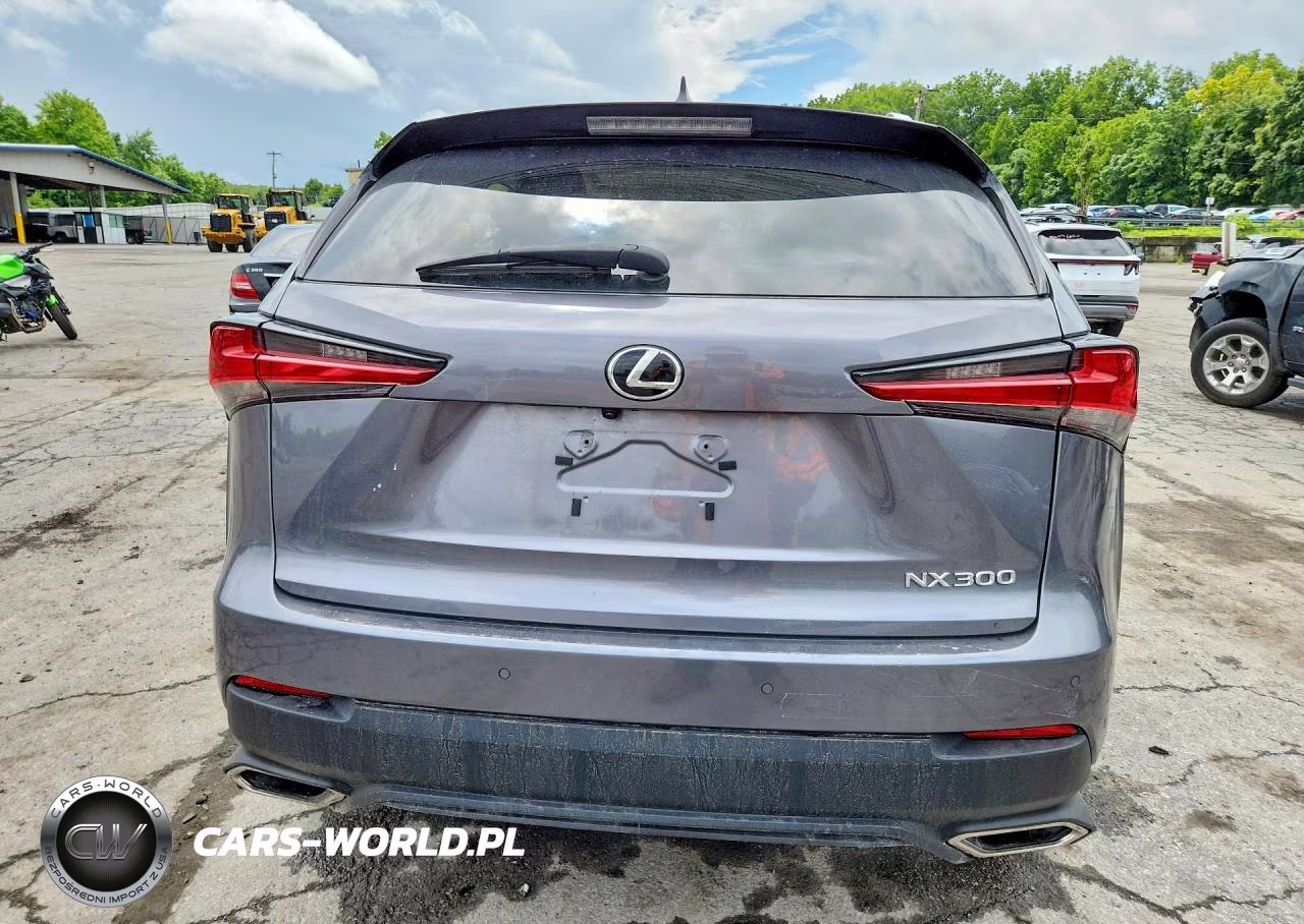 2020 Lexus Nx 300 Base VIN:JTJGARDZ9L2221708 - 6
