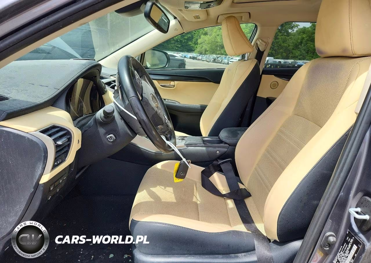 2020 Lexus Nx 300 Base VIN:JTJGARDZ9L2221708 - 7